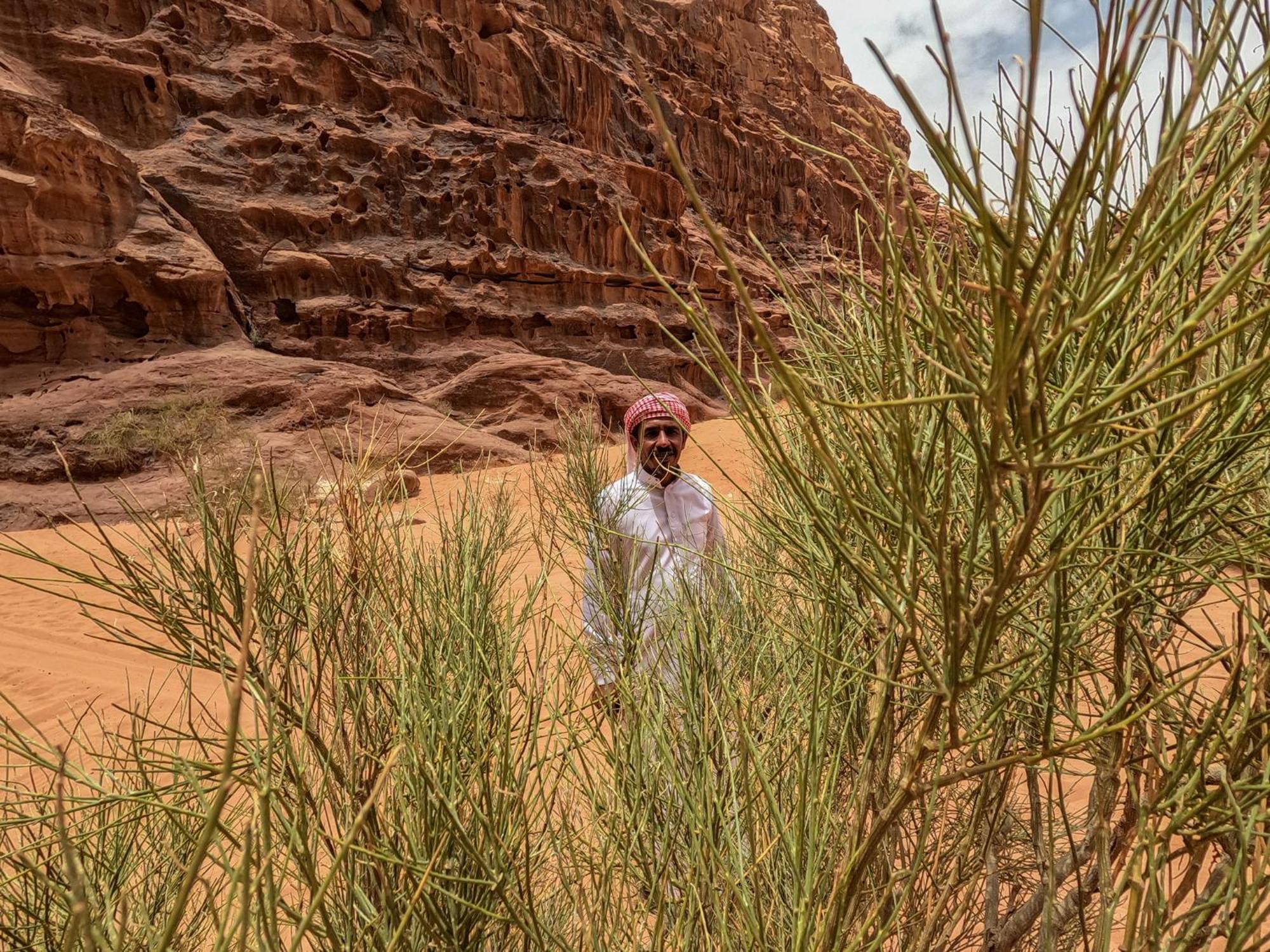 Stargazing Camp & Tours Hotell Wadi Rum Exteriör bild
