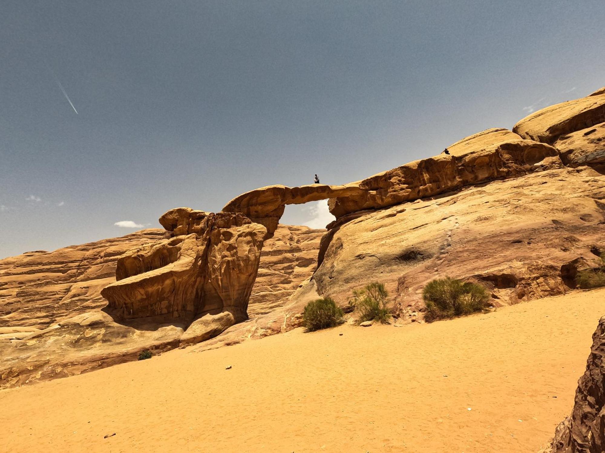 Stargazing Camp & Tours Hotell Wadi Rum Exteriör bild
