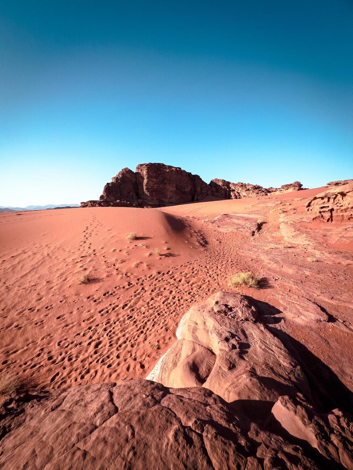 Stargazing Camp & Tours Hotell Wadi Rum Exteriör bild