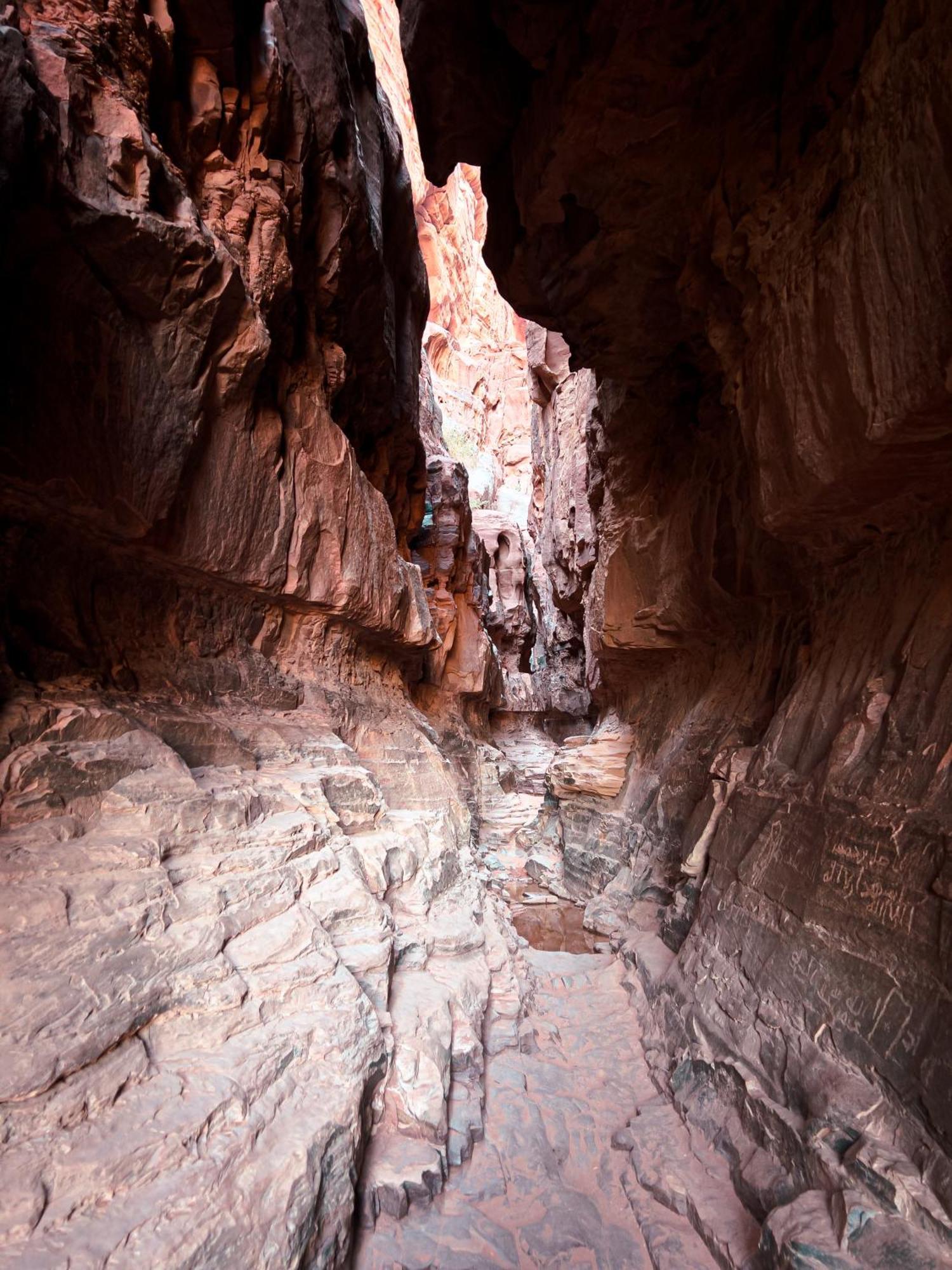 Stargazing Camp & Tours Hotell Wadi Rum Exteriör bild