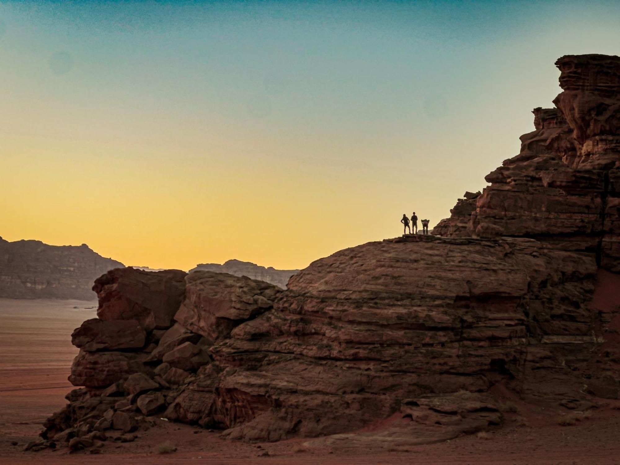 Stargazing Camp & Tours Hotell Wadi Rum Exteriör bild