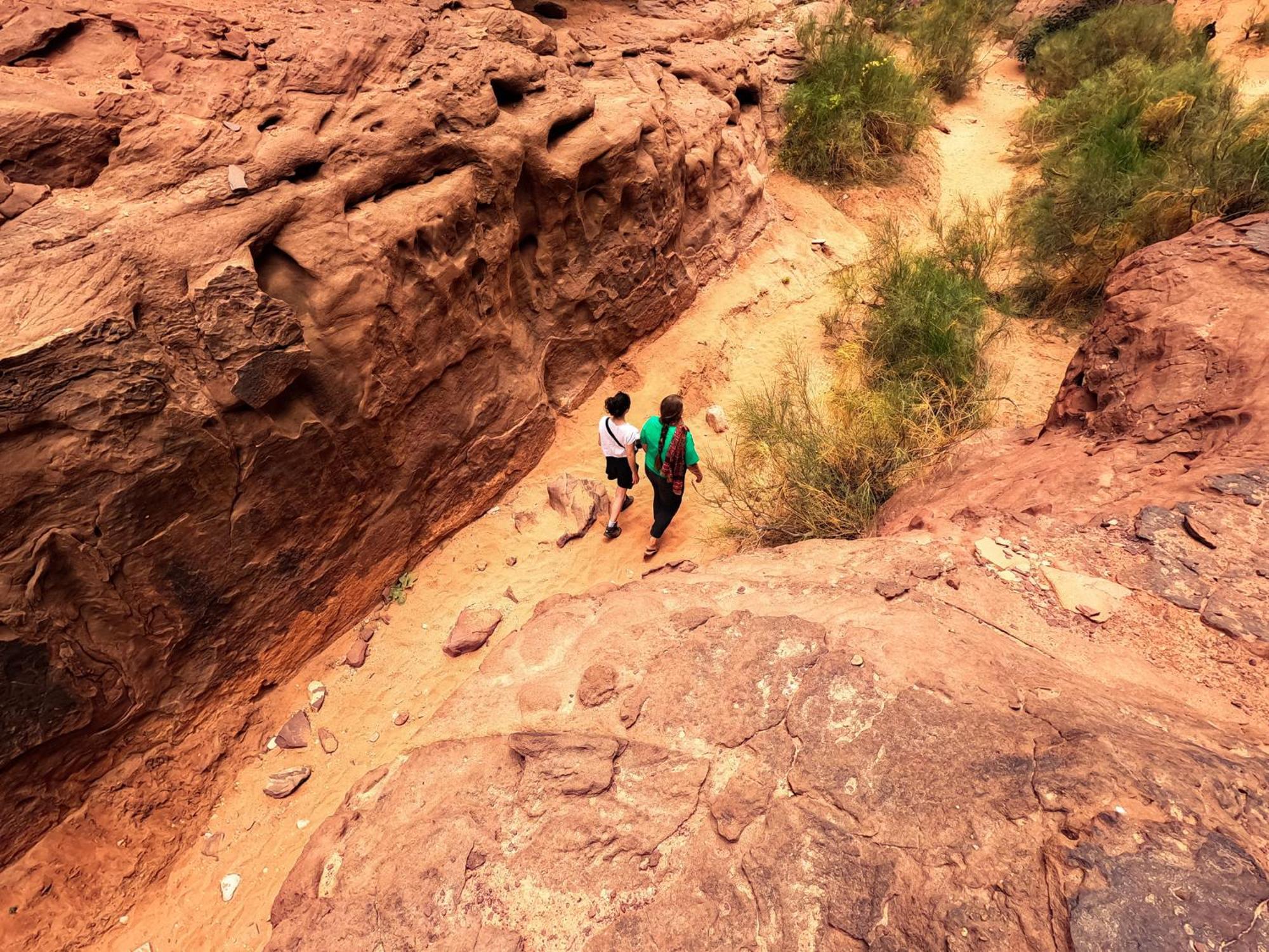 Stargazing Camp & Tours Hotell Wadi Rum Exteriör bild