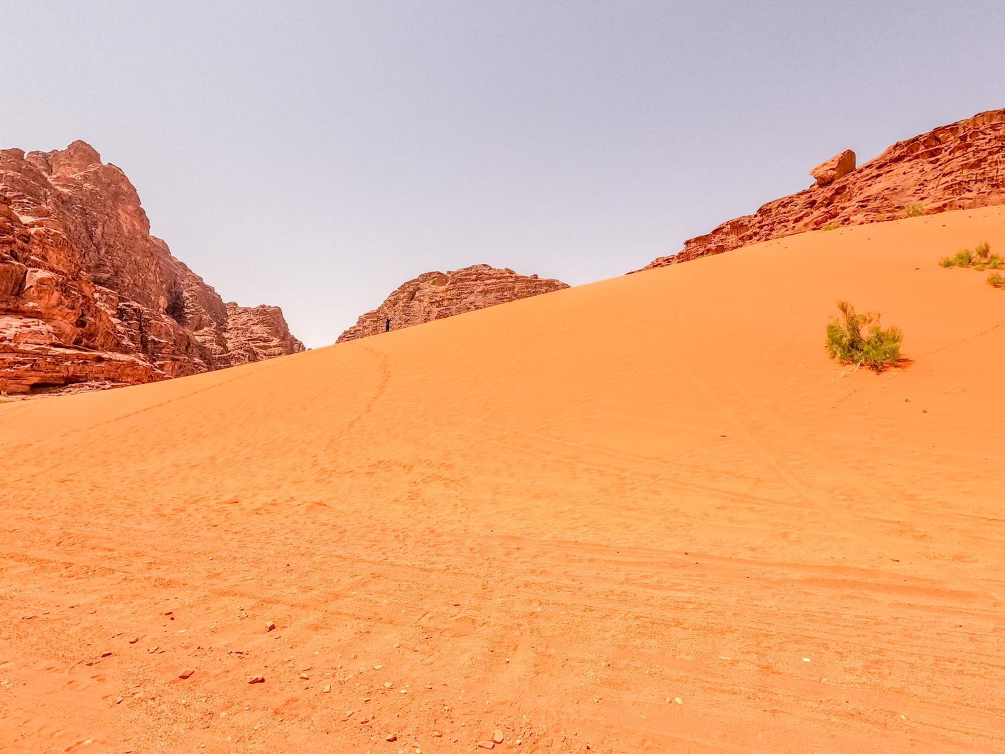 Stargazing Camp & Tours Hotell Wadi Rum Exteriör bild