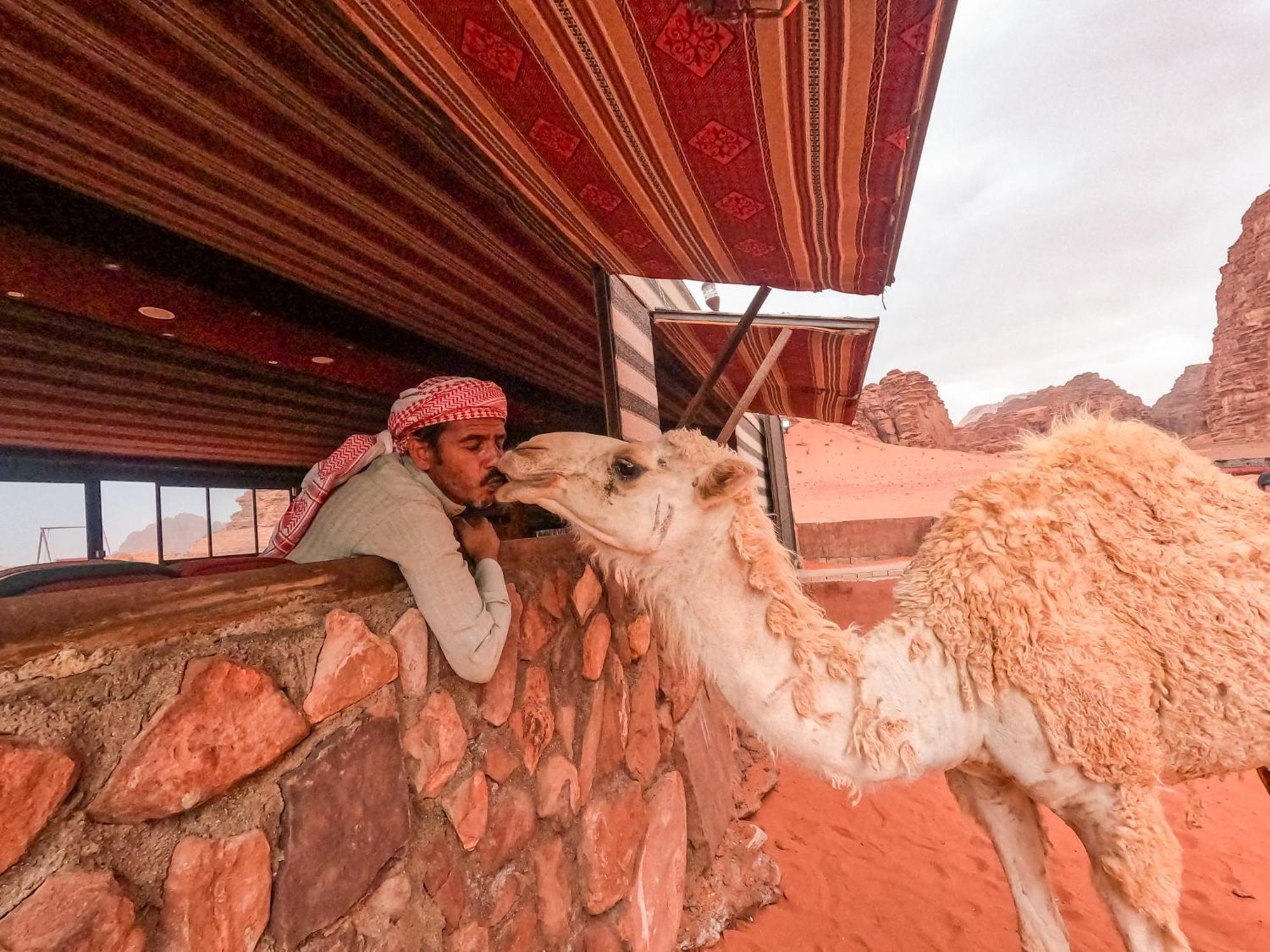 Stargazing Camp & Tours Hotell Wadi Rum Exteriör bild