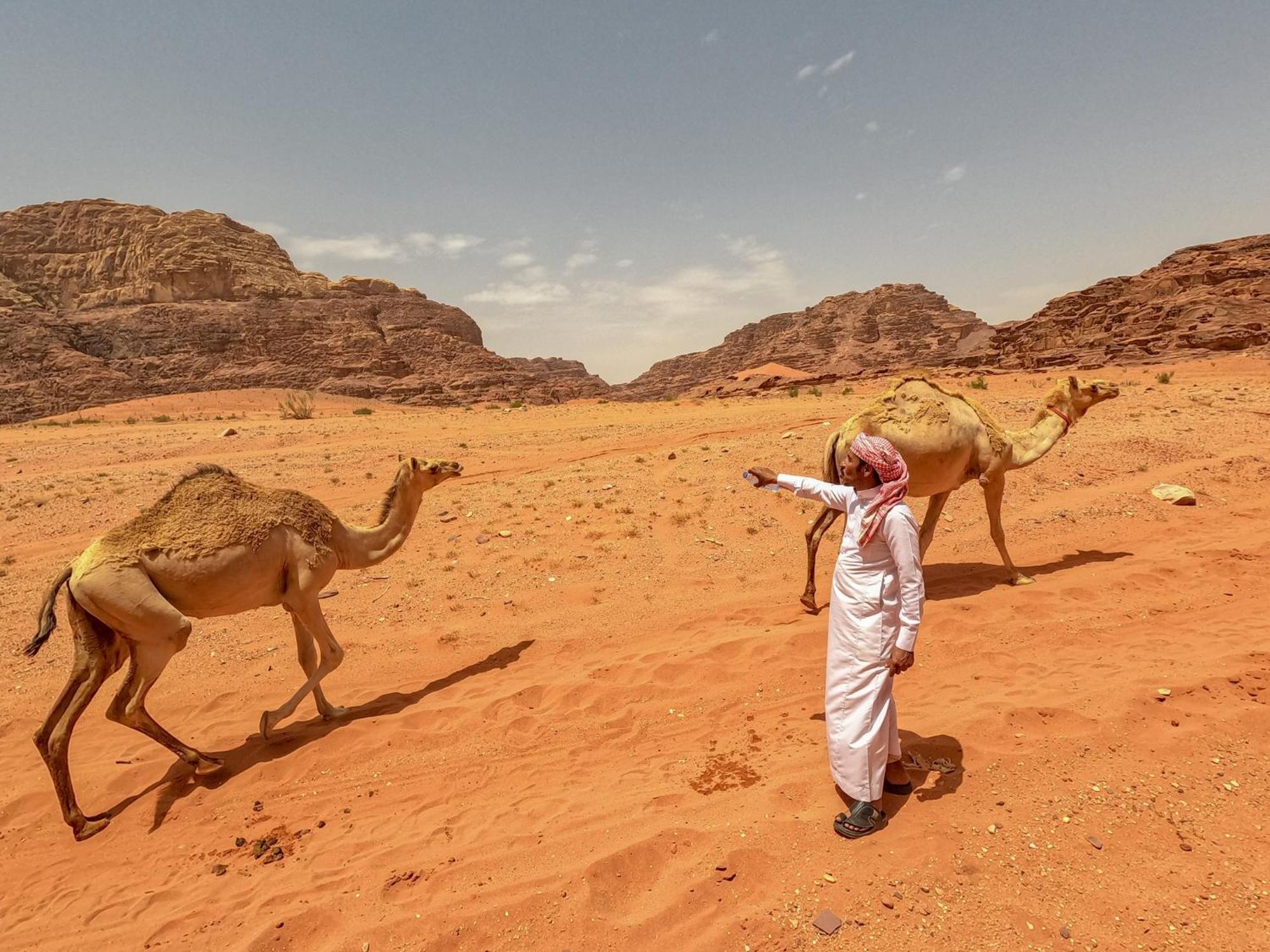 Stargazing Camp & Tours Hotell Wadi Rum Exteriör bild