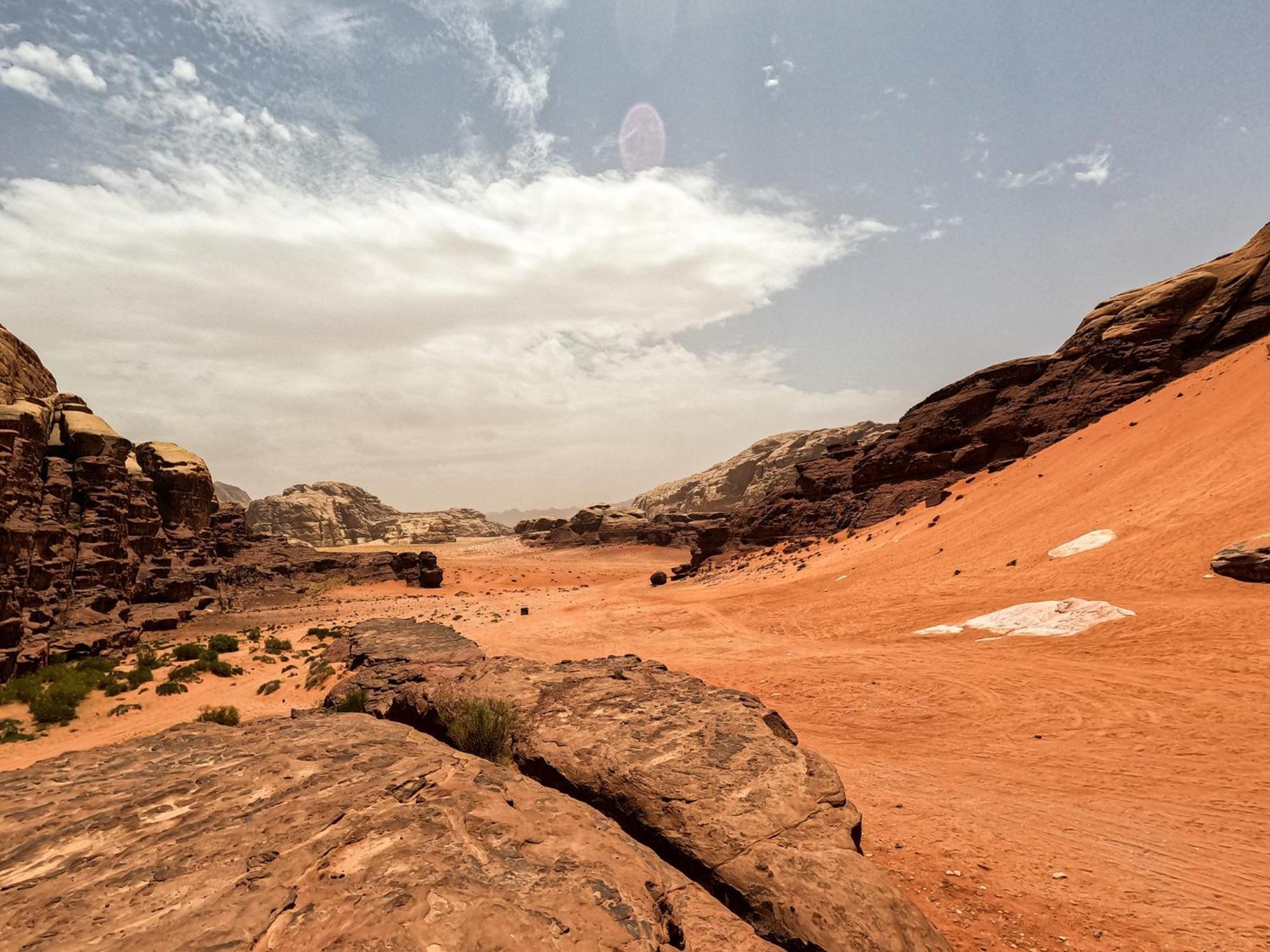 Stargazing Camp & Tours Hotell Wadi Rum Exteriör bild