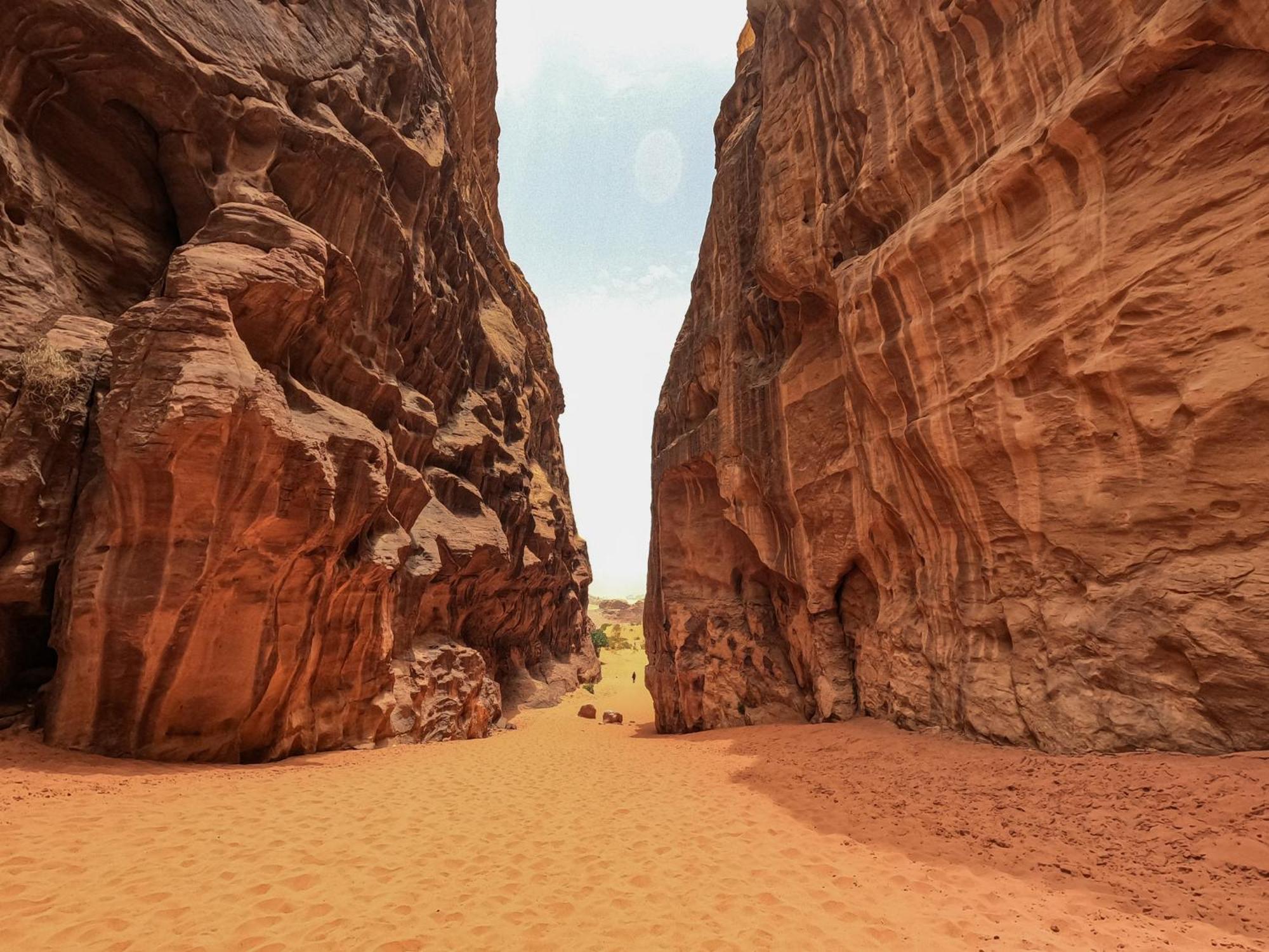 Stargazing Camp & Tours Hotell Wadi Rum Exteriör bild