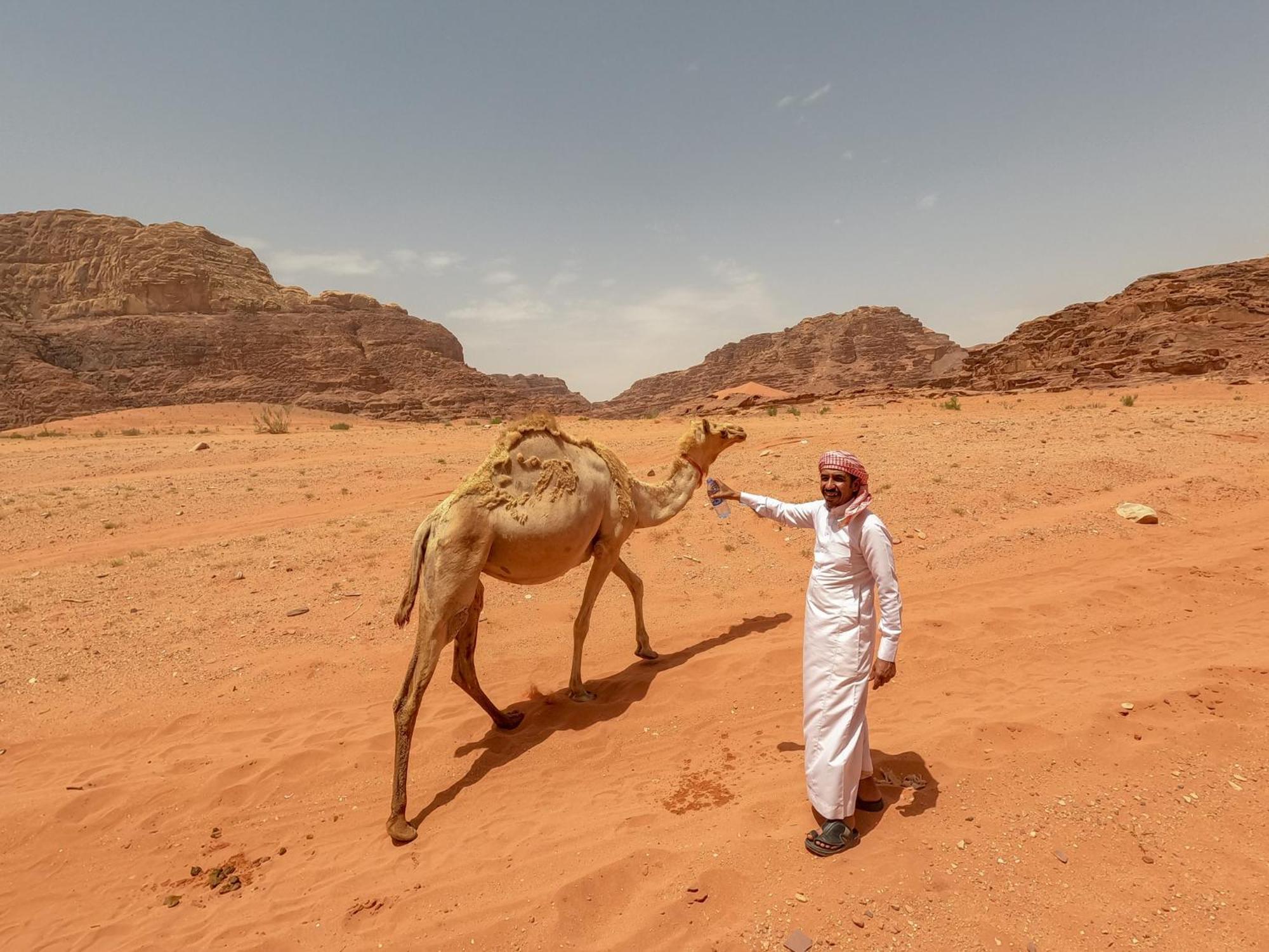 Stargazing Camp & Tours Hotell Wadi Rum Exteriör bild