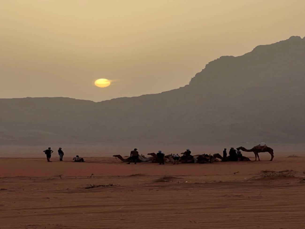 Stargazing Camp & Tours Hotell Wadi Rum Exteriör bild